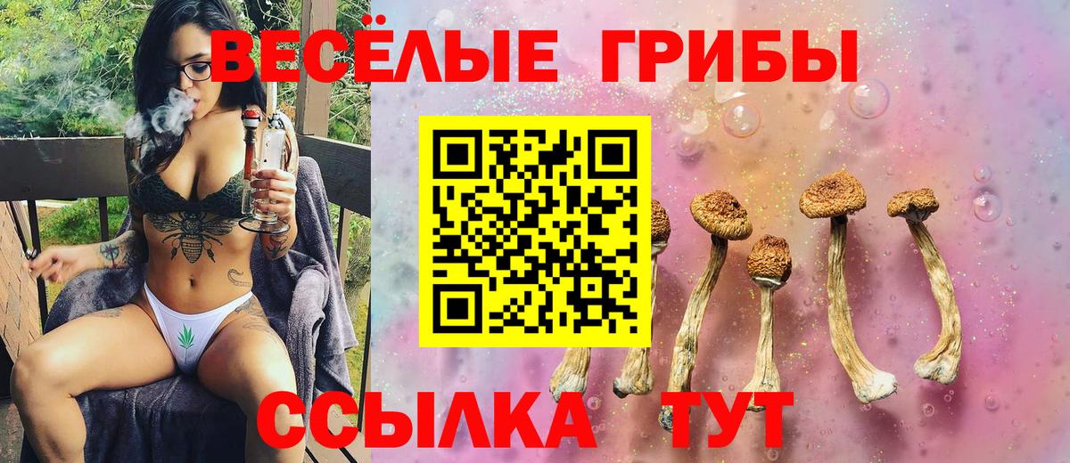 Псилоцибиновые грибы Cubensis Кольчугино
