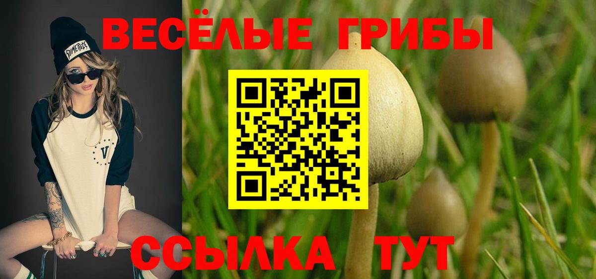 Кольчугино  Псилоцибиновые грибы ЛСД  Вход с VPN 